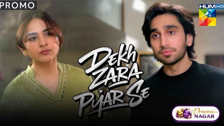 Dekh Zara Pyar Se Drama Cast