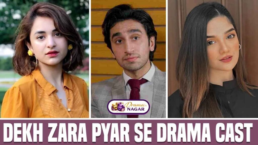 Dekh Zara Pyar Se Drama Cast Release Date, OST, Timing & Story