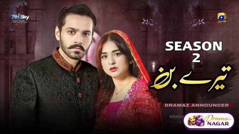 Tere Bin Season 2 Drama Cast, Release Date, Timing & Story