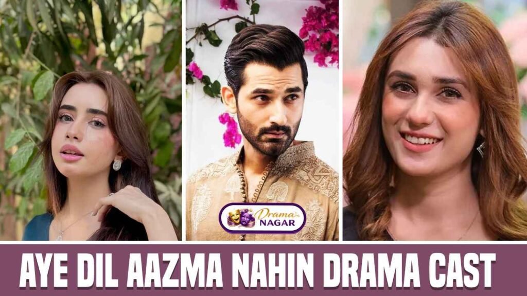 Aye Dil Aazma Nahin Drama Cast