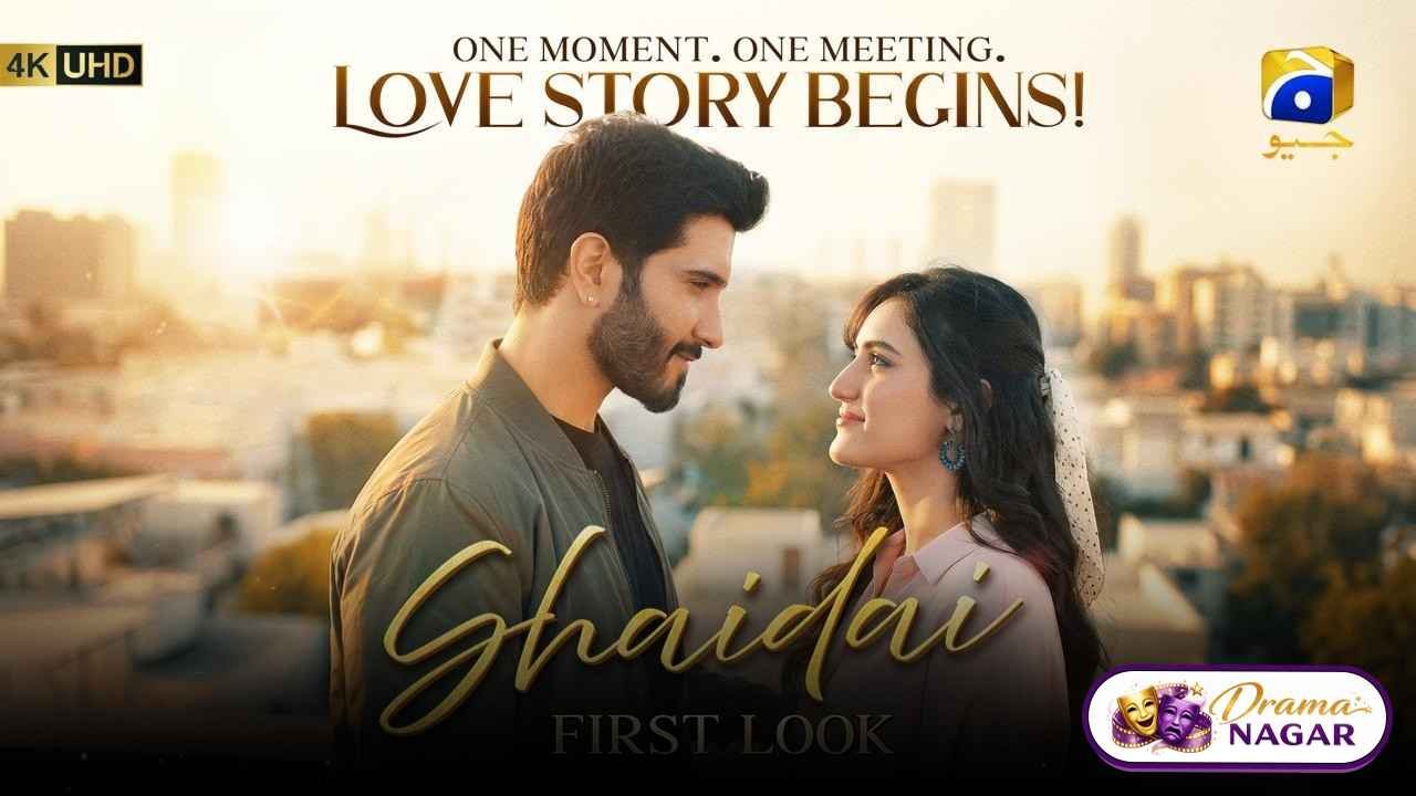 Shaidai Drama Cast Release Date, OST, Timing & Story